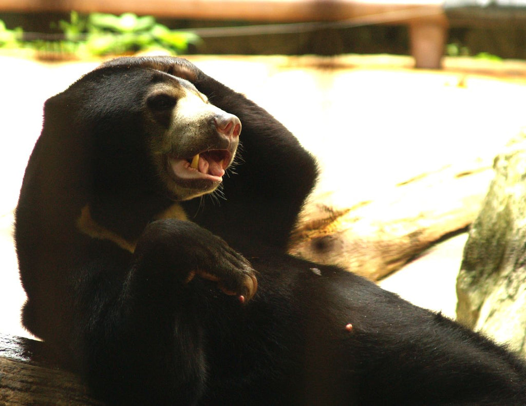 デニムやTシャツで使われるoz(オンス)ってなんだ?